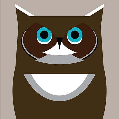 Vector Owl (2013)