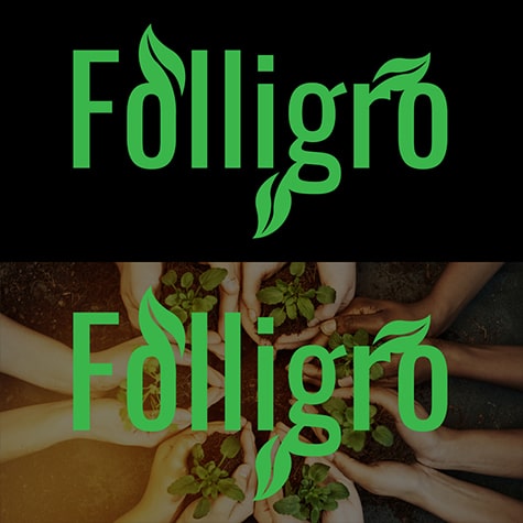 Folligro Logo Mock Up 3 (2017)